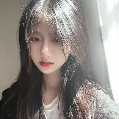 挚爱极地